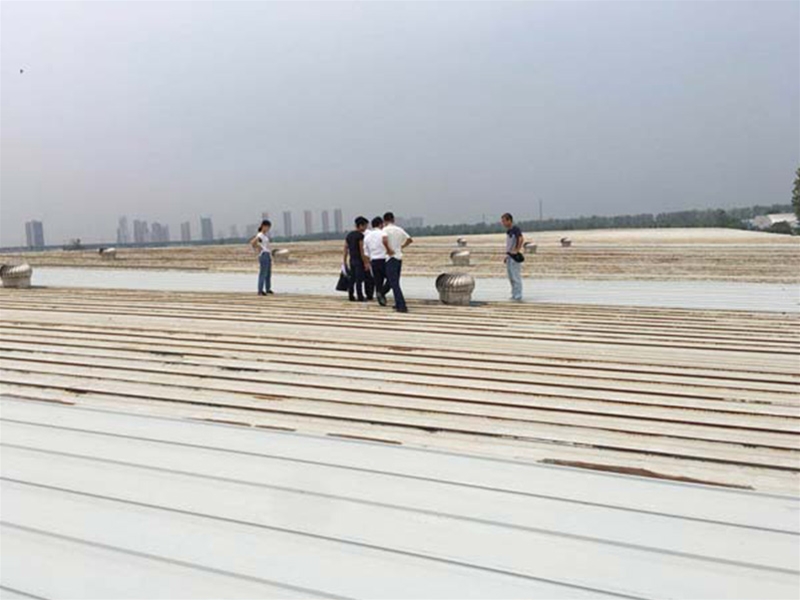 漢口北金馬凱旋家居倉庫彩鋼瓦更換加固